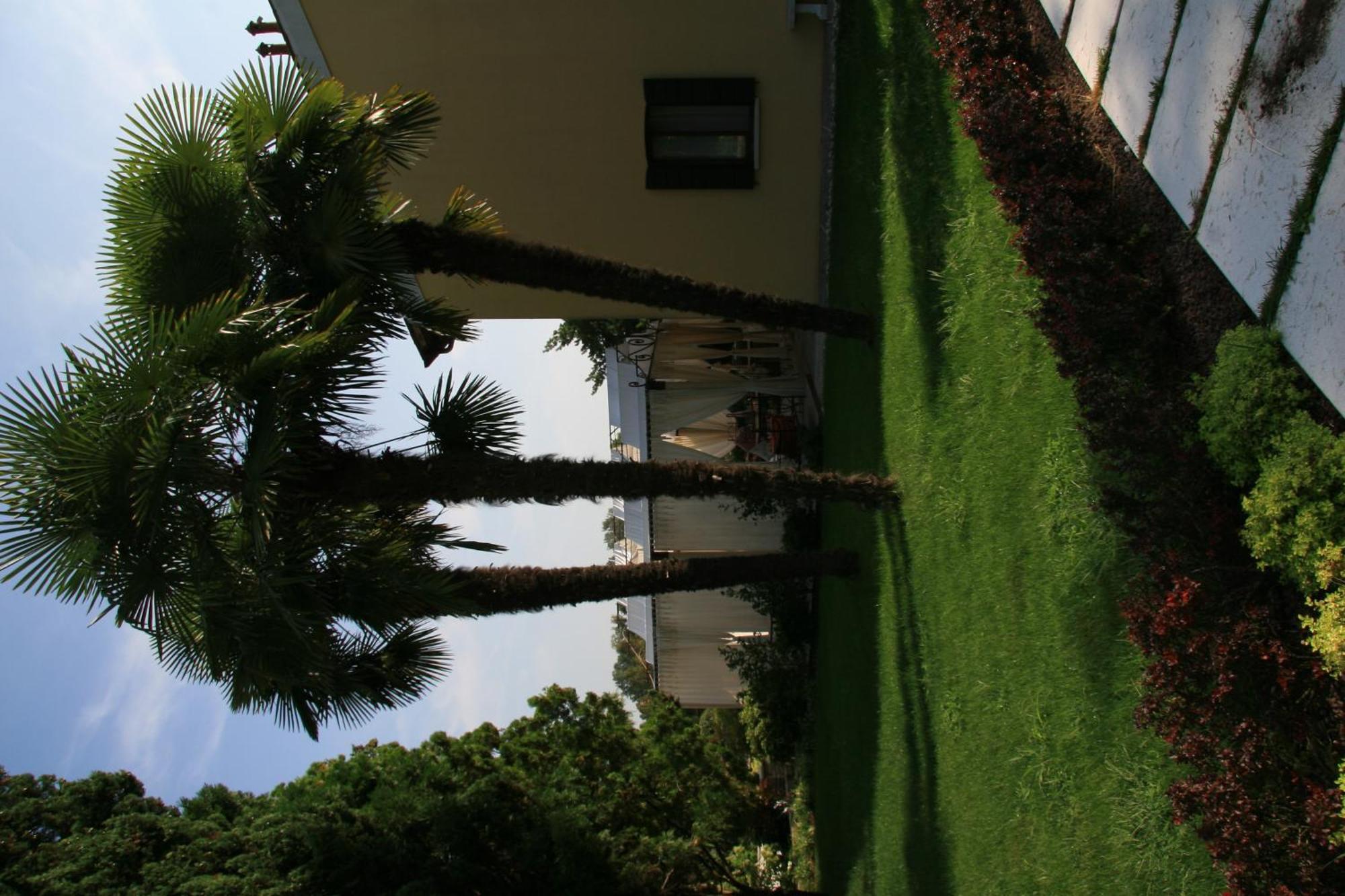 Hotel La Rescossa Mira Buitenkant foto